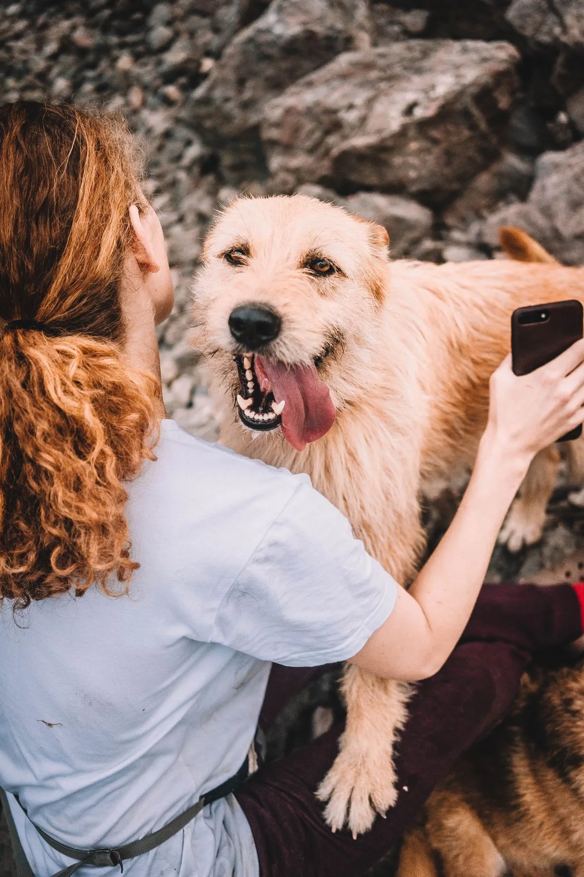 Frau macht ein Foto von ihrem Hund